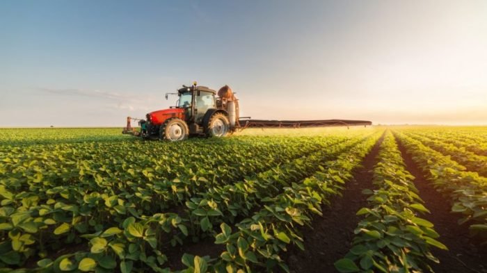 Agricultura e pecuaria